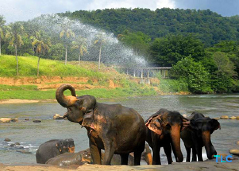 Sri Lanka Tour Package