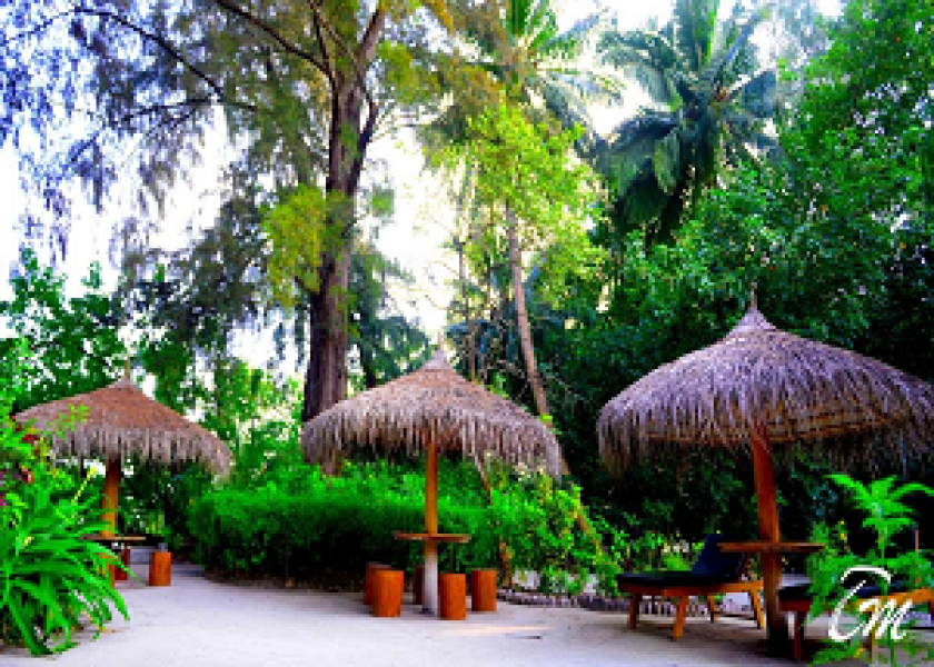 Maldives Tour Package