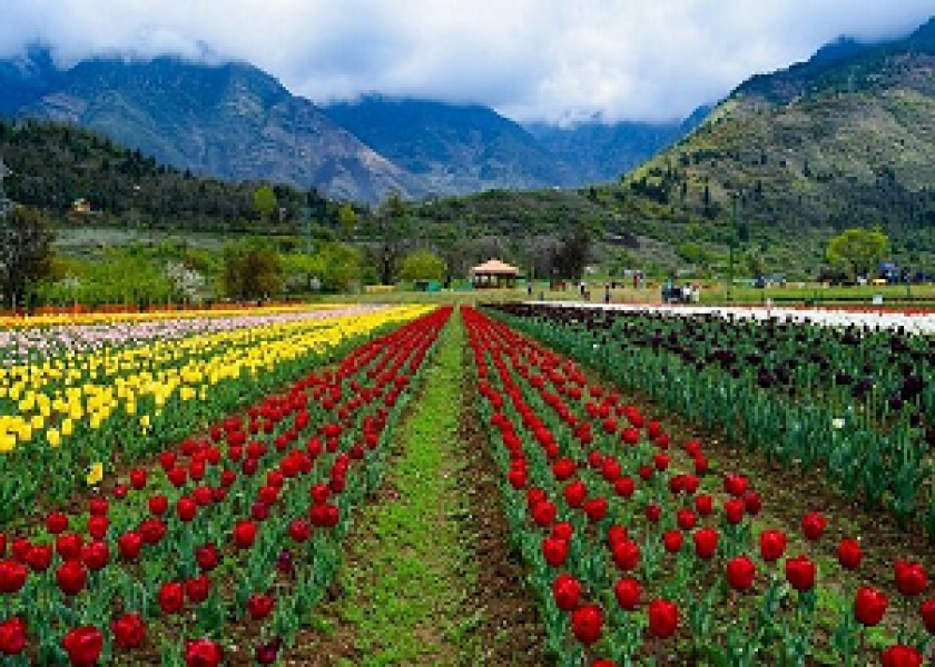 Kashmir Tour Package